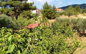 Little Hause